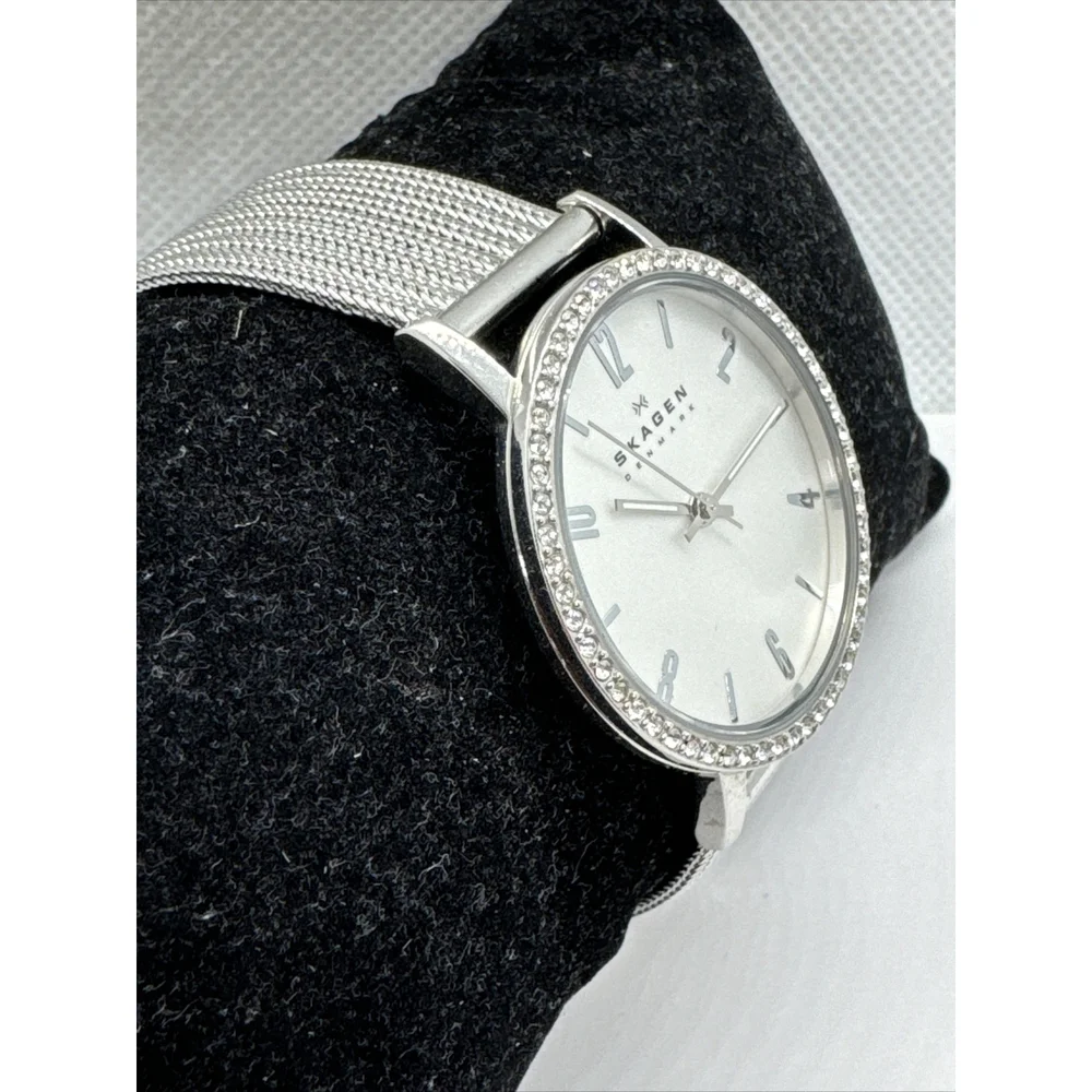 Skagen Denmark SKW2284 Women's Silver Stainless Steel Mesh Analog Watch AEA283